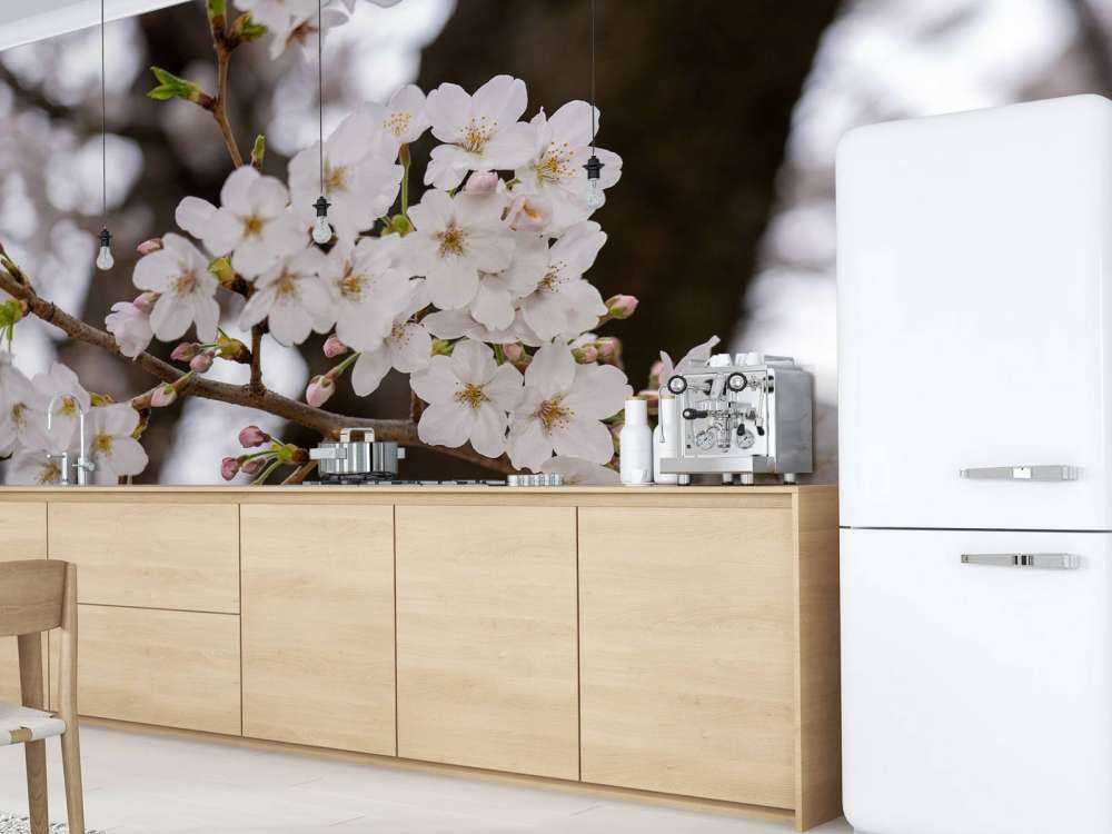 Hvide blomster