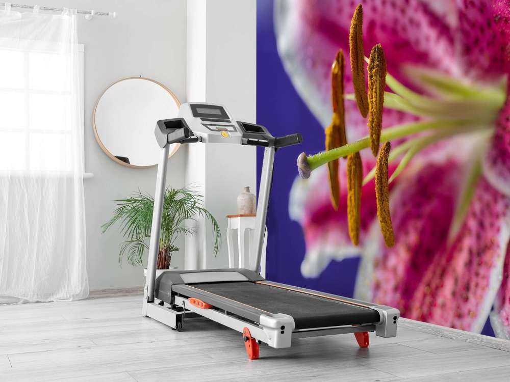 Nærbillede af lyserød blomst