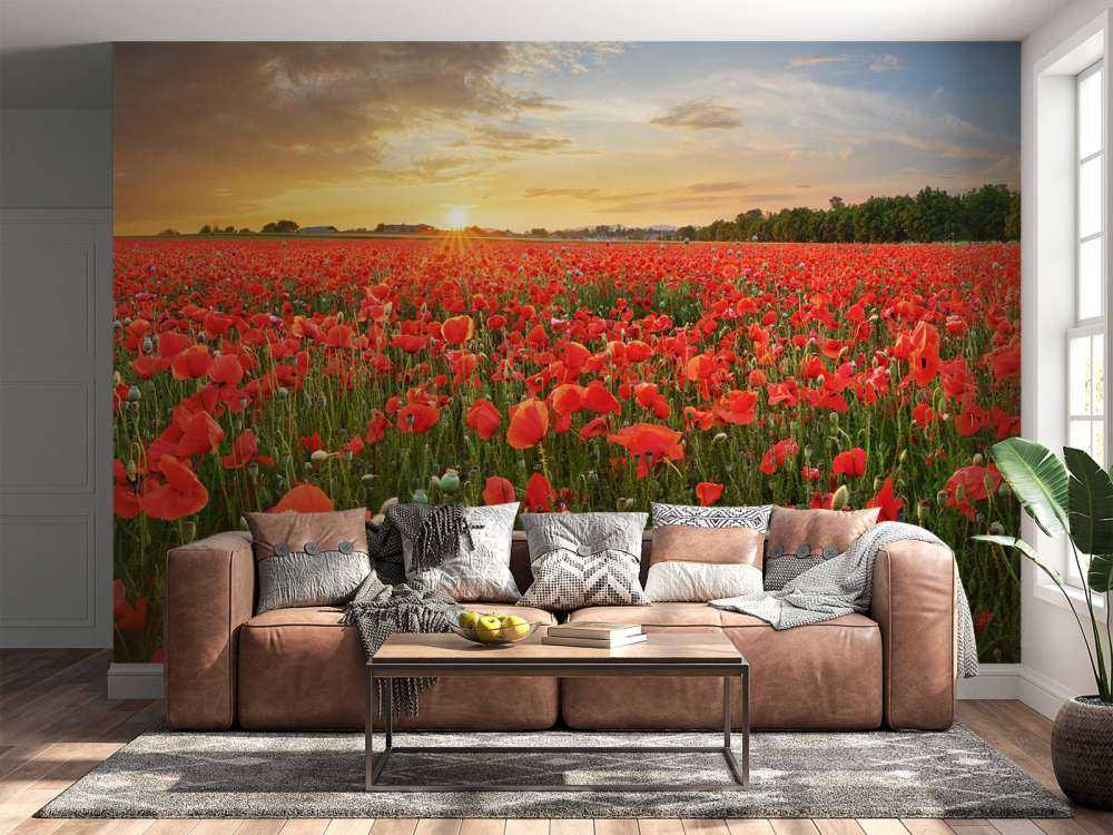 Solnedgang med valmuer