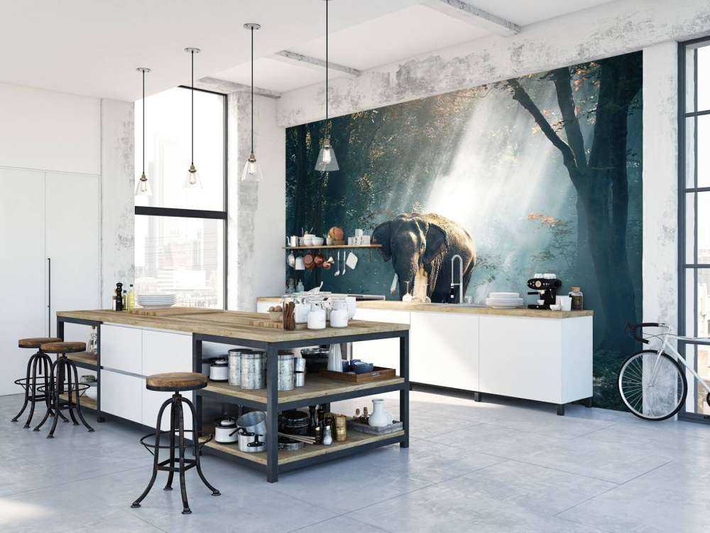 Elefant i en jungle