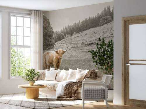 Scottish Highlander med kalv