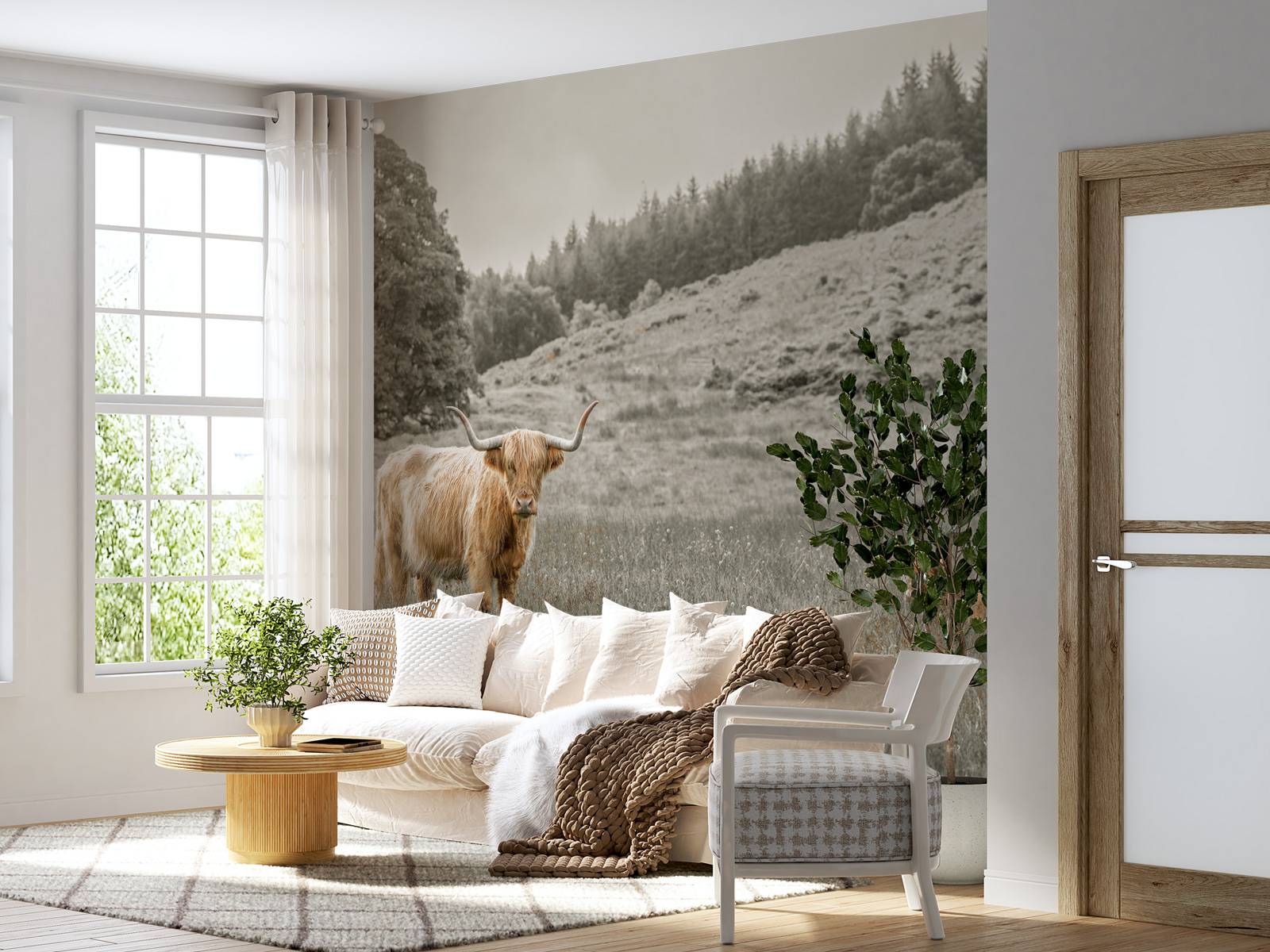 Scottish Highlander med kalv