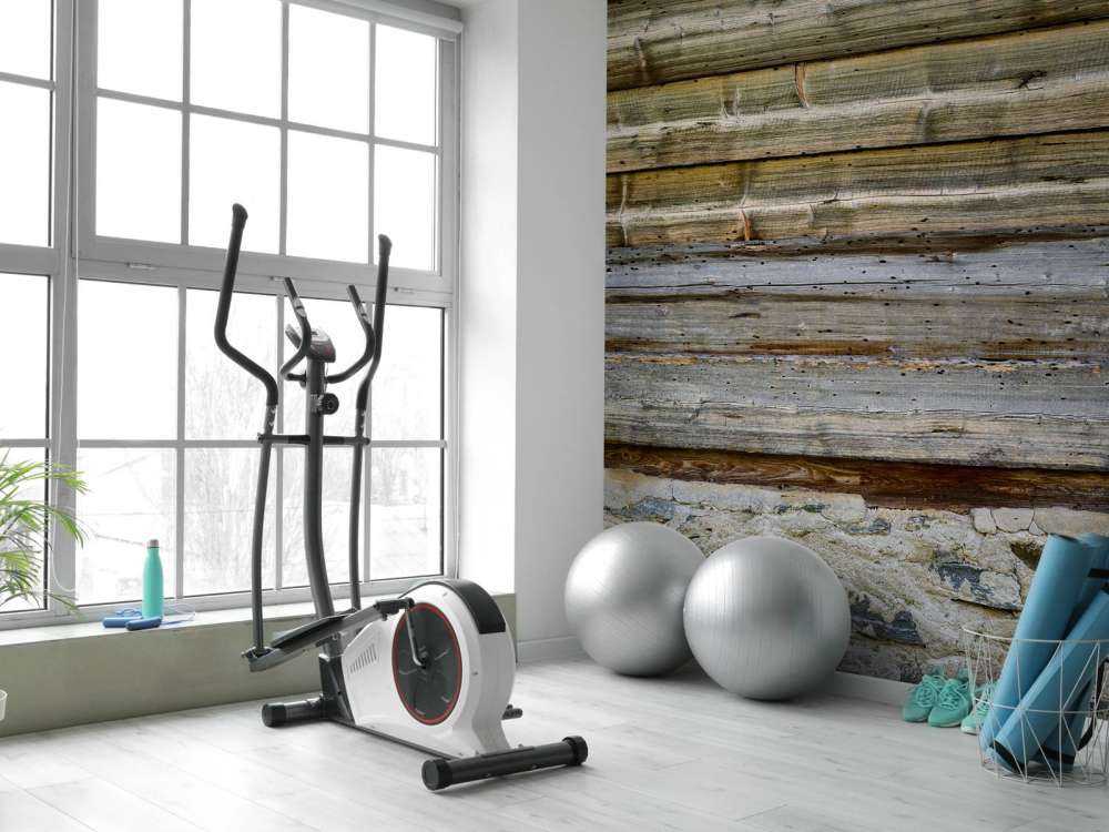 Vejrbidt træ på stenvæg