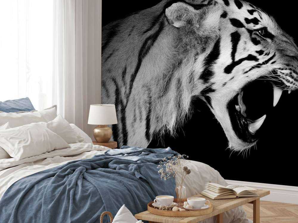 Brølende tiger sort