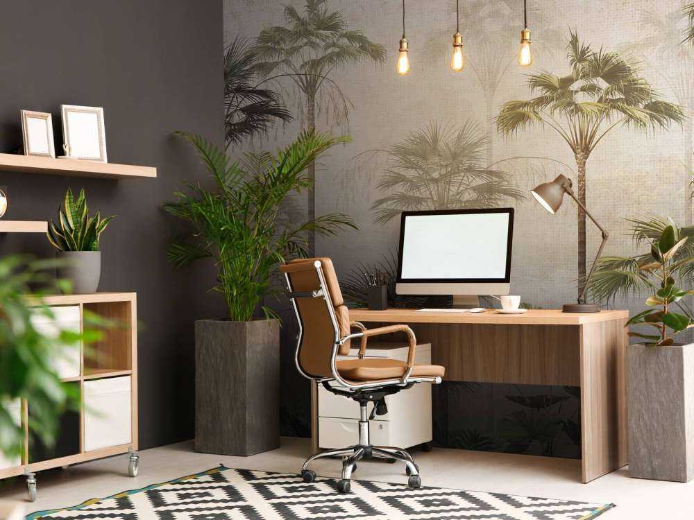 Stilheds Palm Serenitet