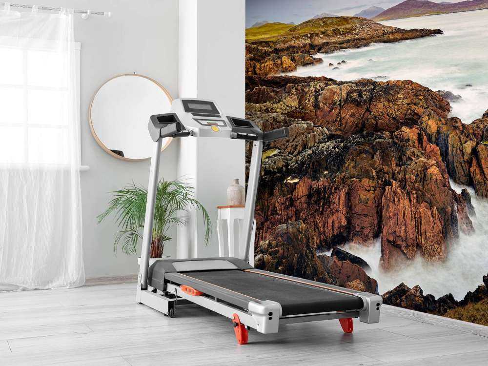skogen med stenar