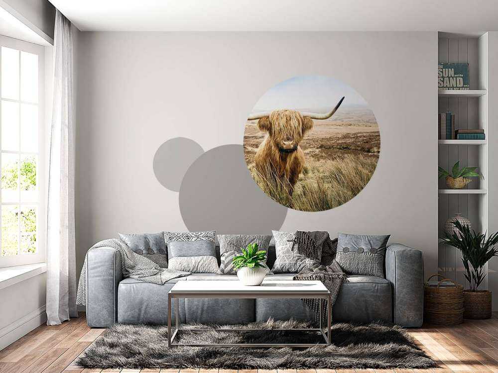 Skotsk hoglandare med vass