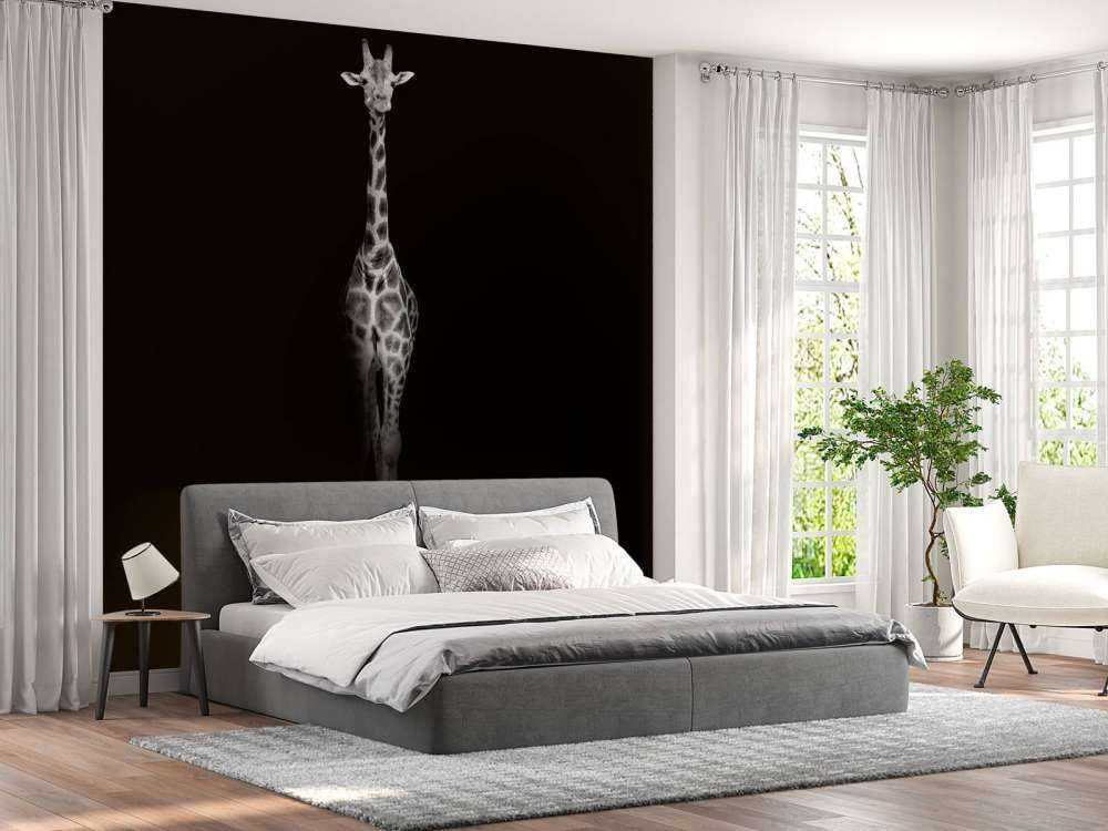 Giraff svartvitt