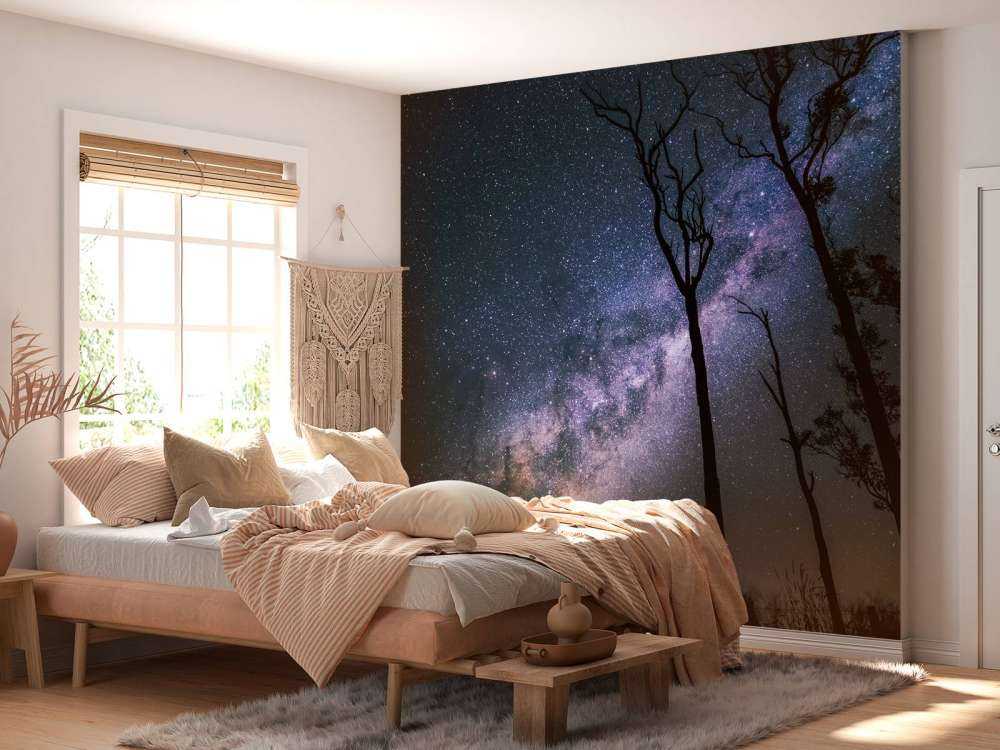 Stjärnor mellan träden