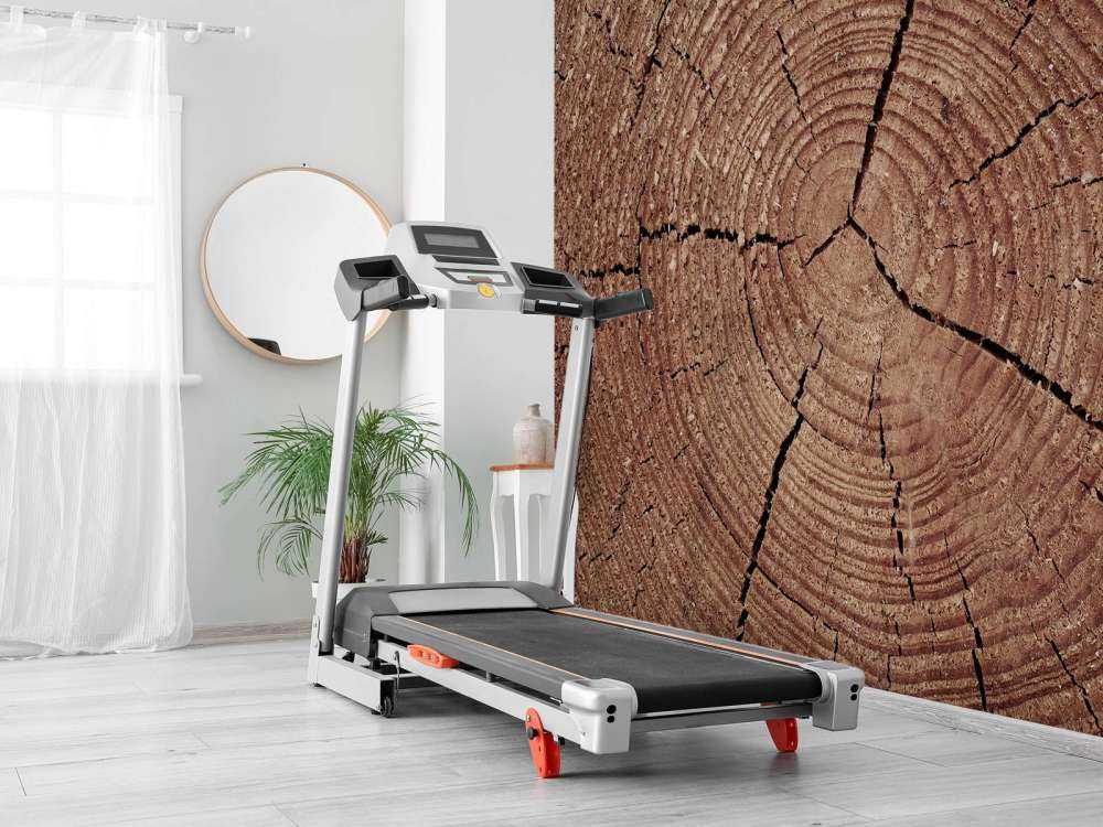 Bagage med årsringar