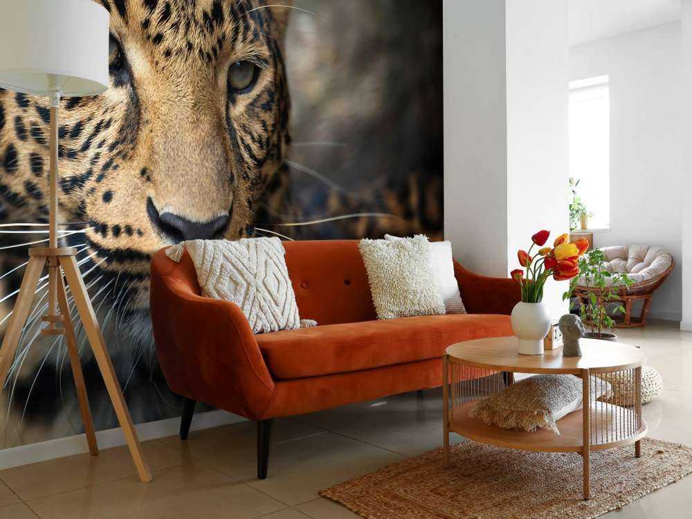 Närbild på en leopard