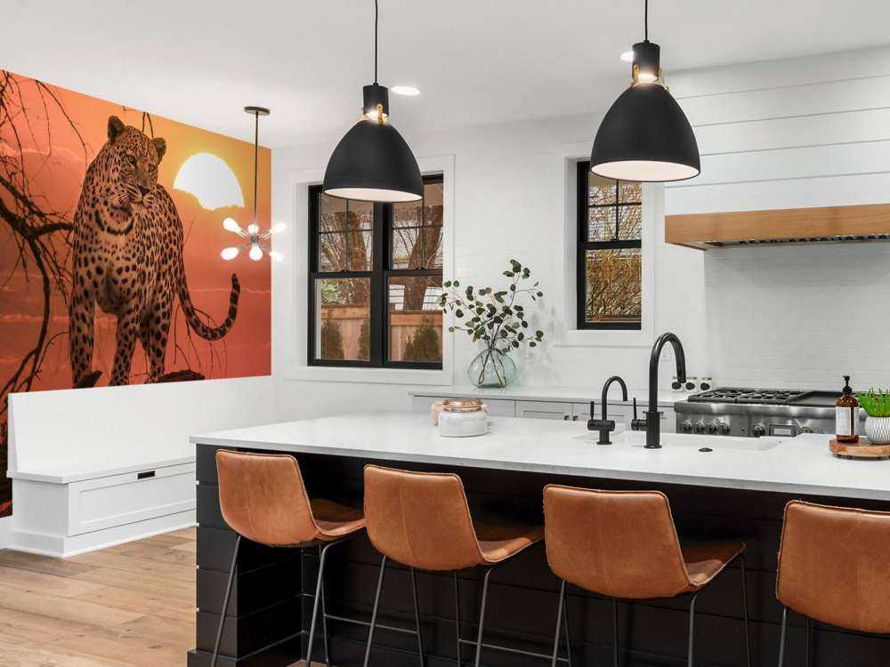 Leopard med solnedgång