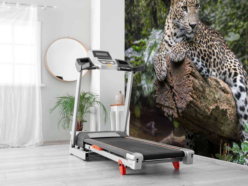 Leopard på träd