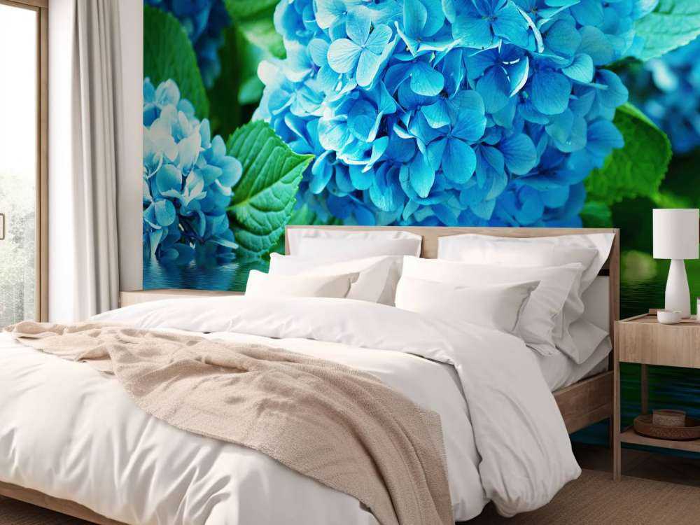 Hortensia i vatten
