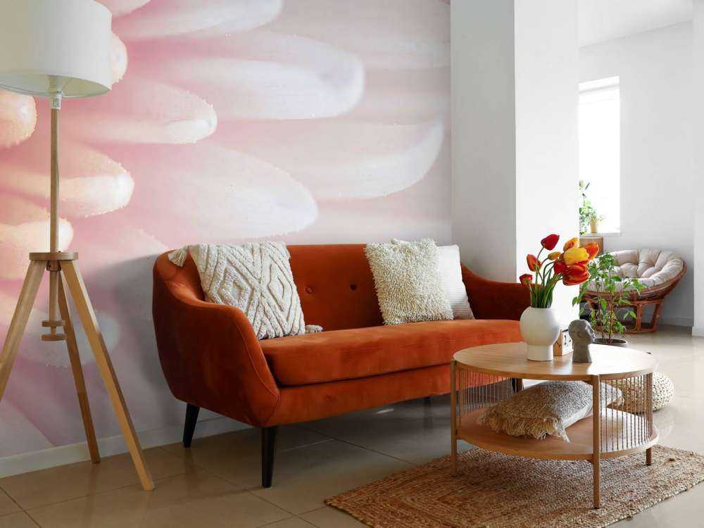 Chrysanthemum petals