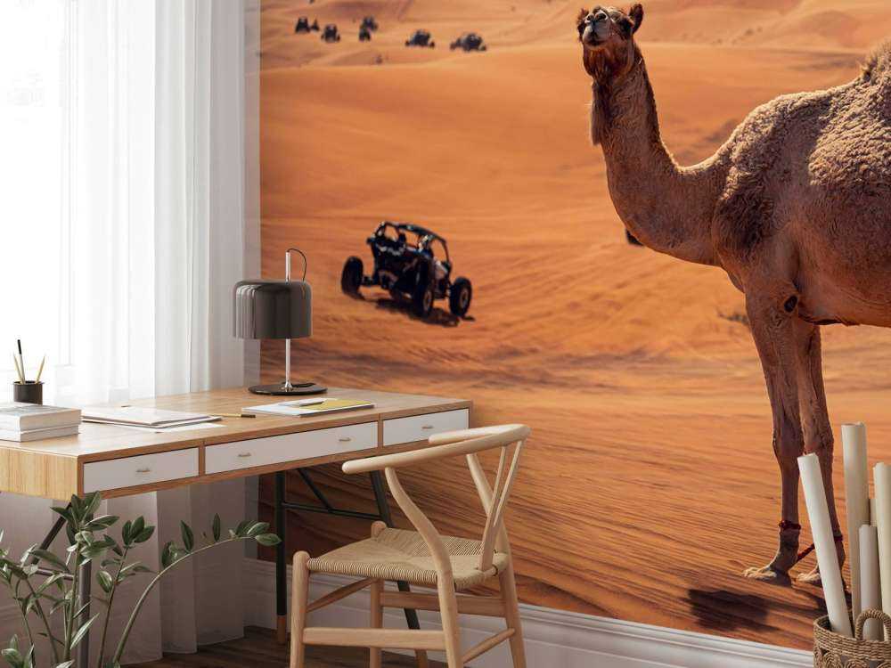 Offroadäventyr i öknen