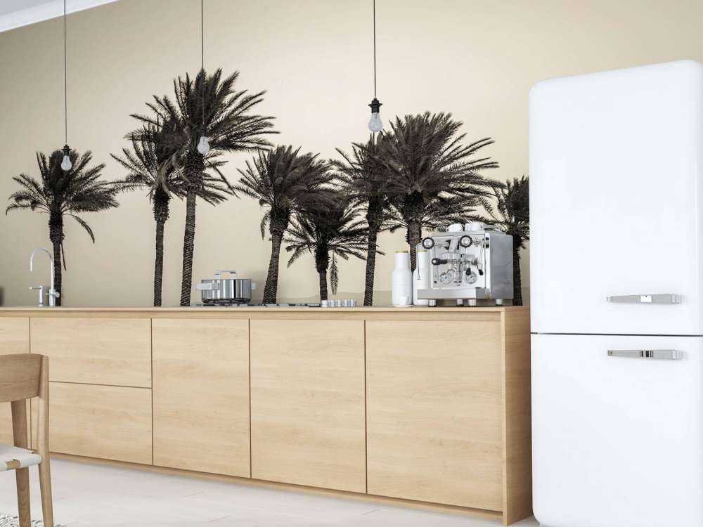 Palmer svart och vitt