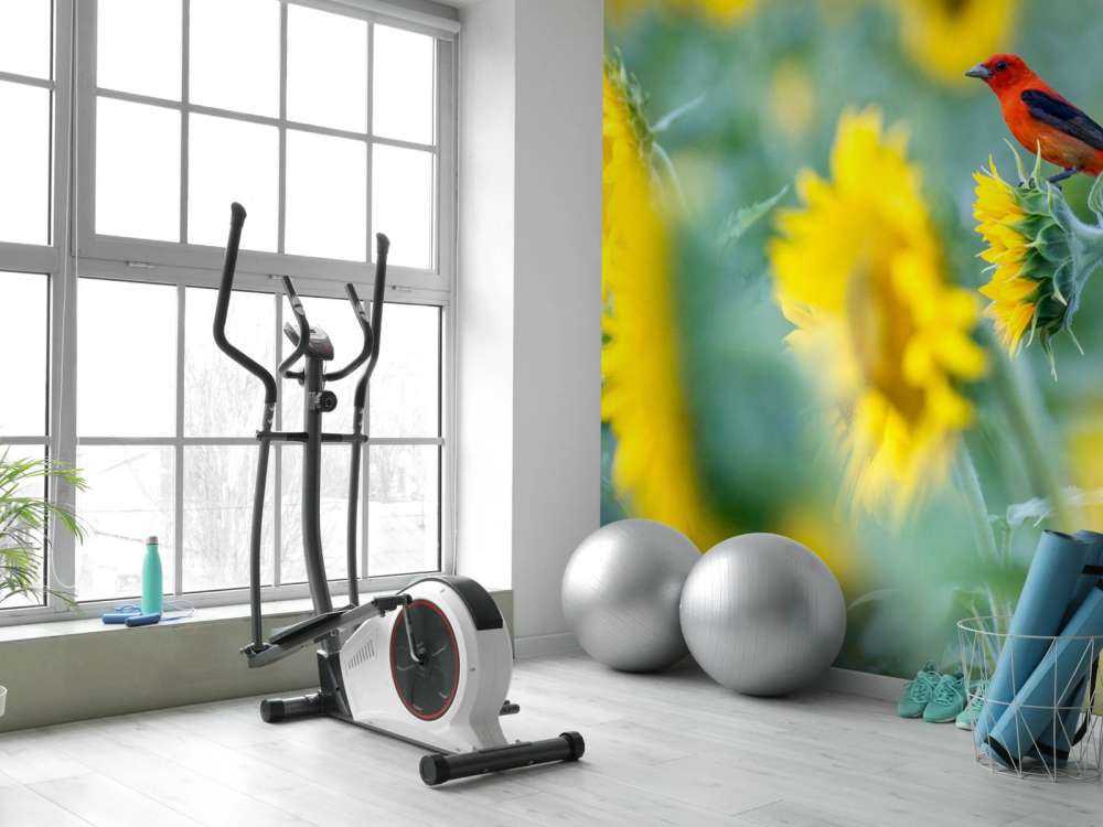 Solrosfält med röd fågel