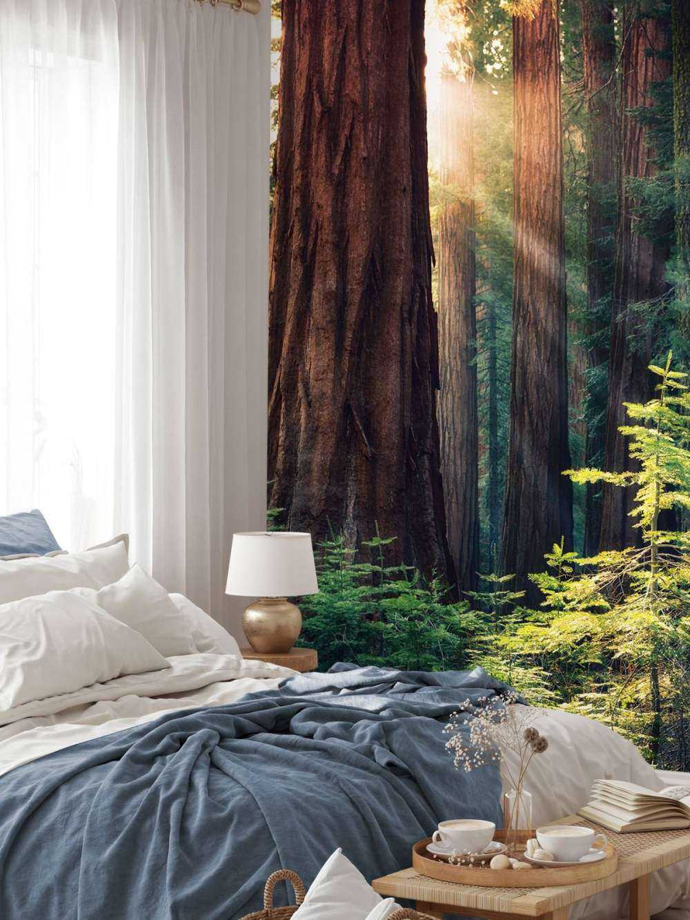 Solljus mellan mahognyträden