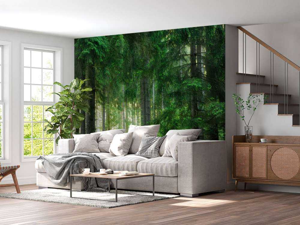 Grön barrskog