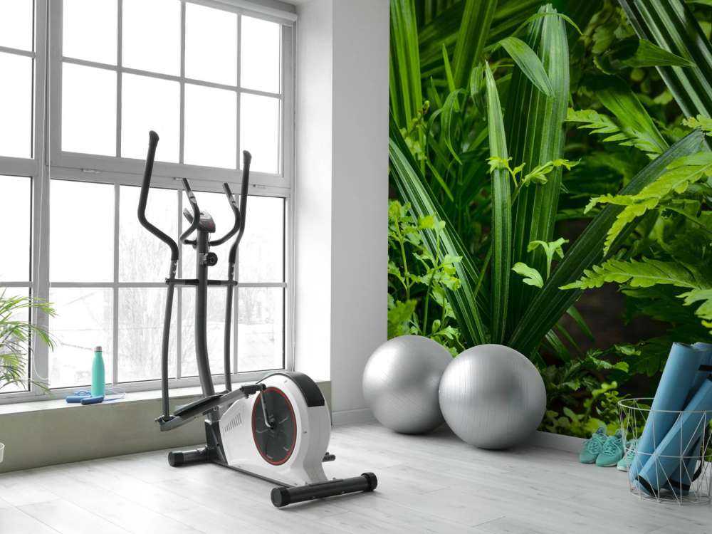 Panorama med växter