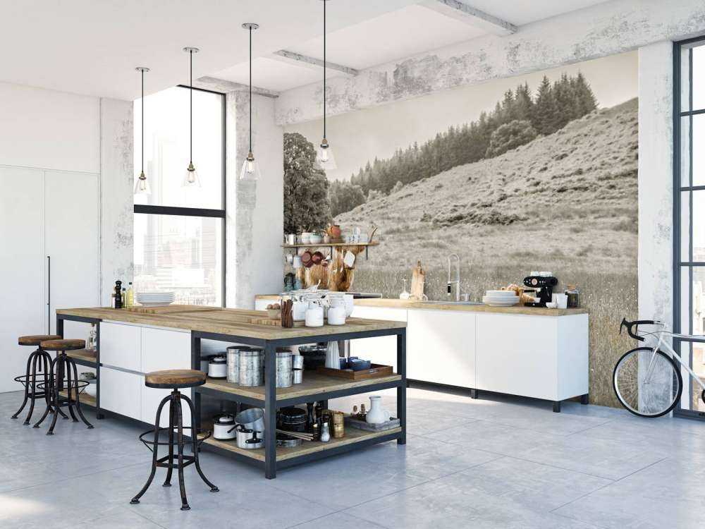 Skotsk highlander med kalv