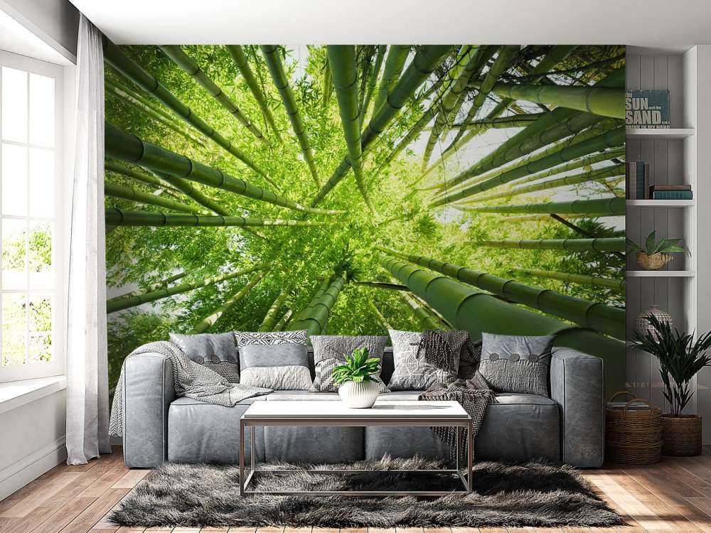 Bambu