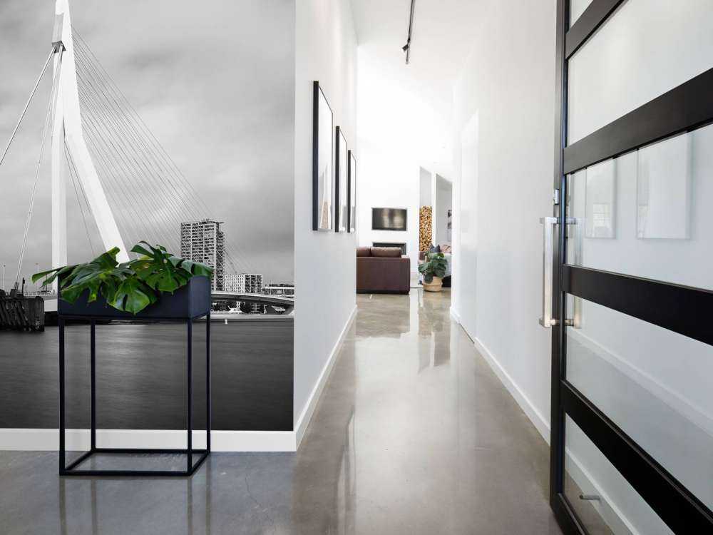 Erasmus bro Rotterdam