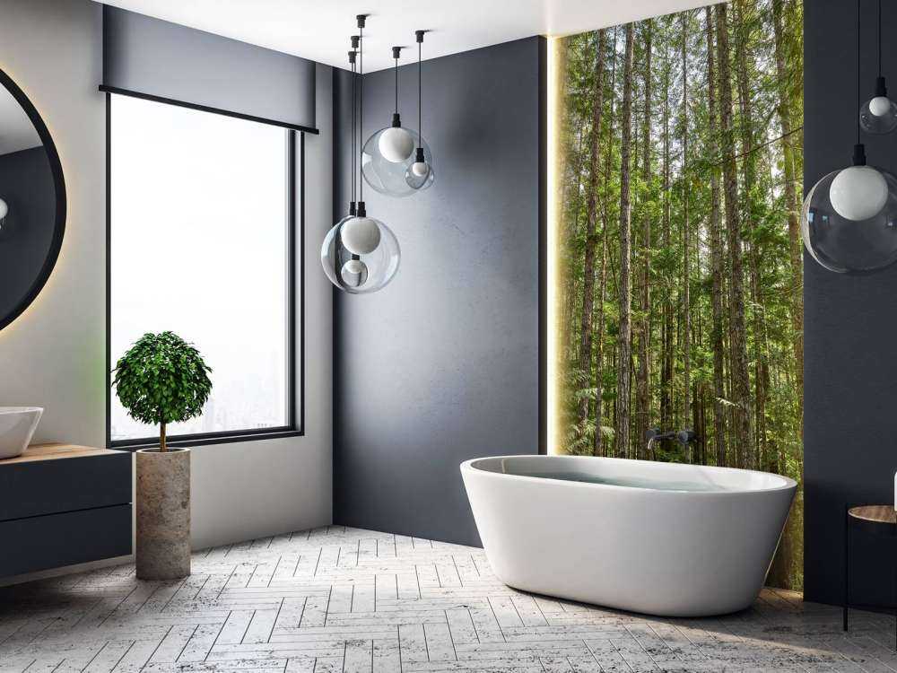 Tynne trær i skogen