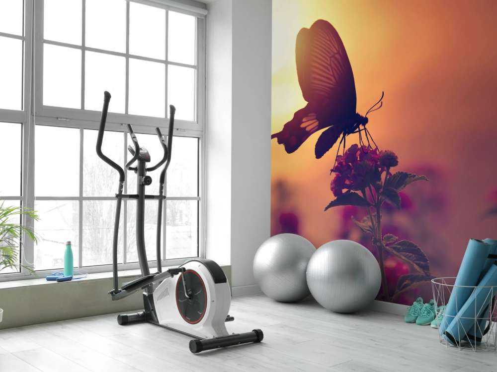 Sommerfugl med solnedgang