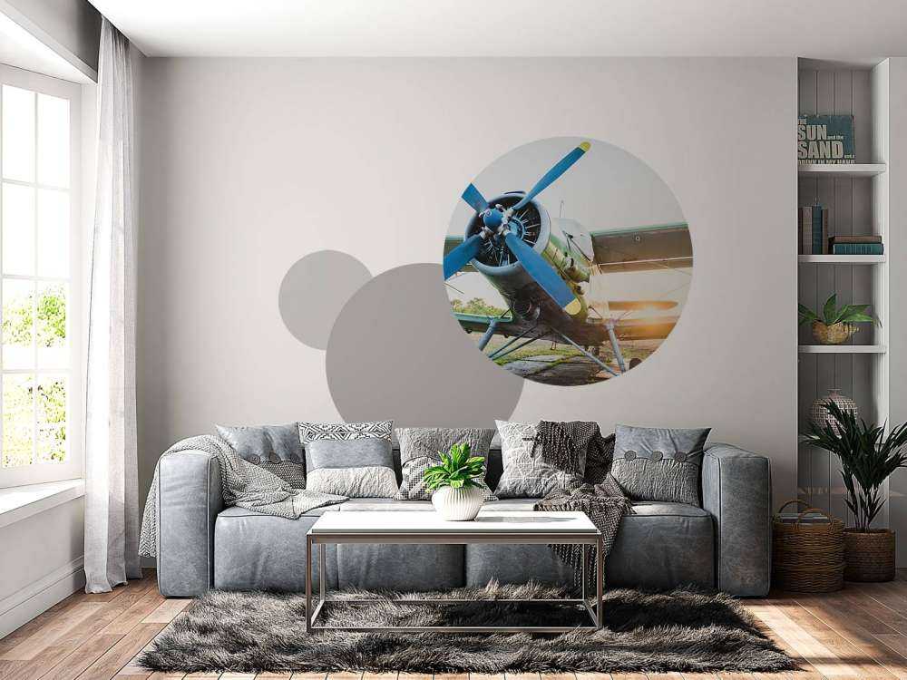 Liten enkeltmotors privatfly