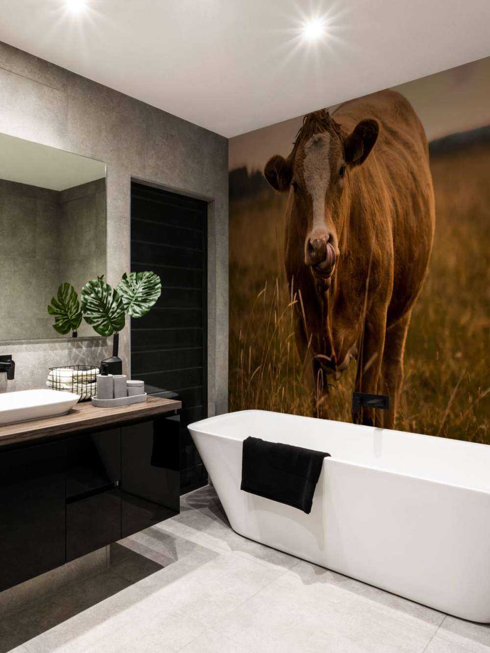 Ku med tungen i nesen