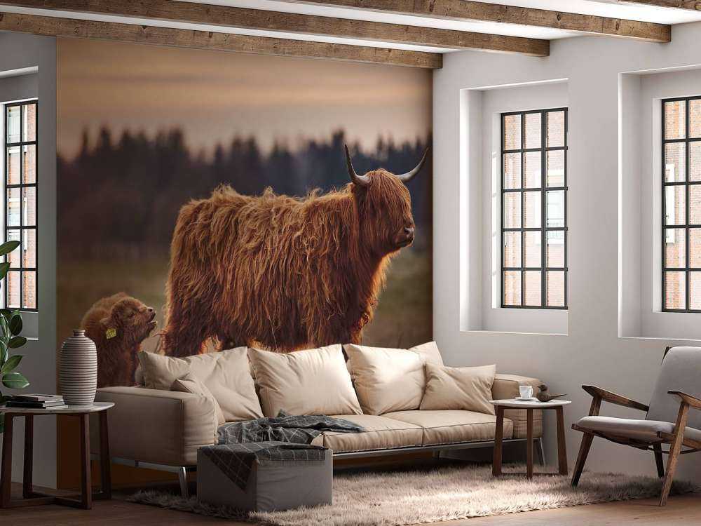 Det skotske høylandet på engen