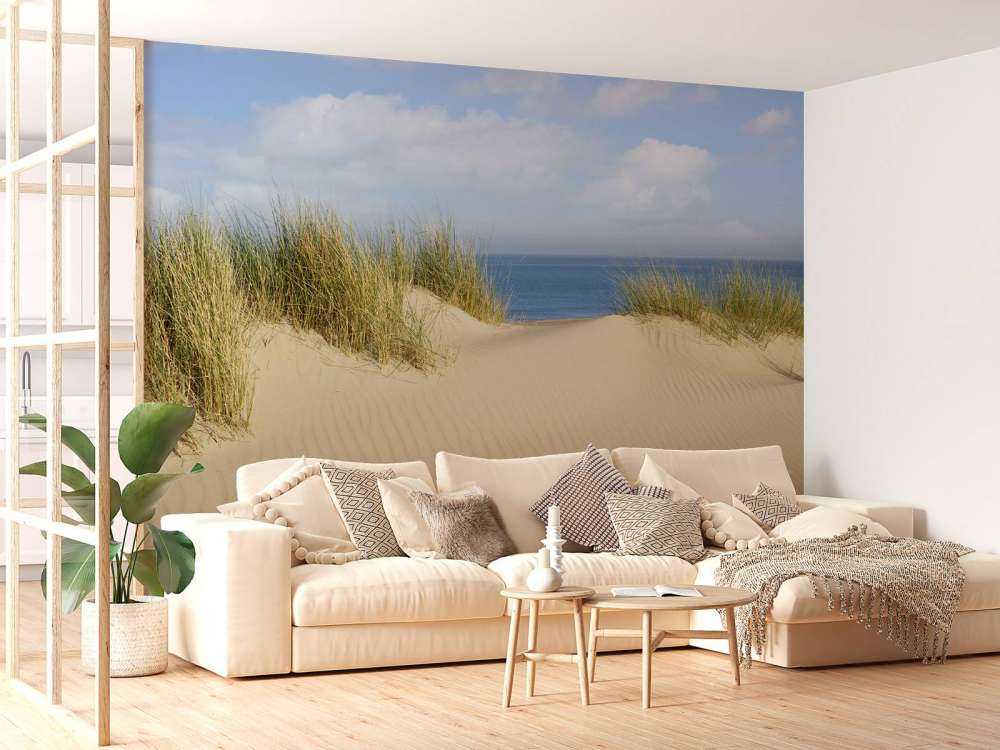 Dune går til stranden