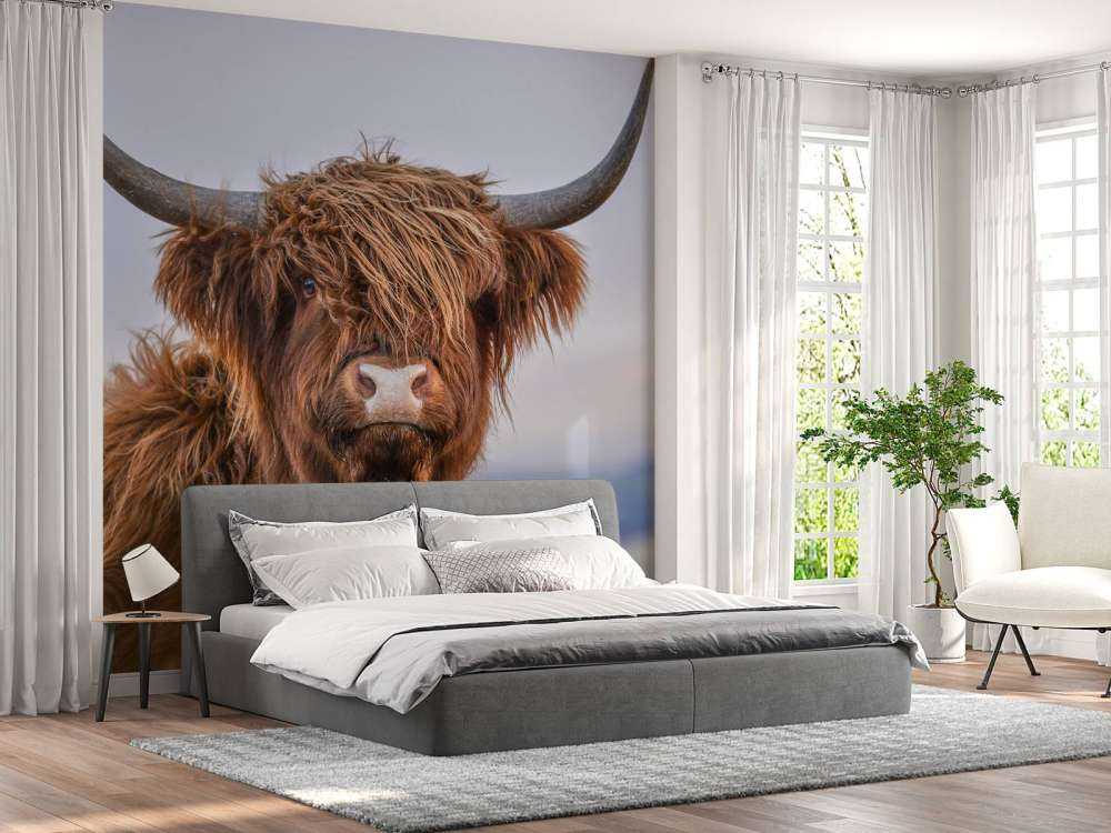 Stirrer det skotske høylandet