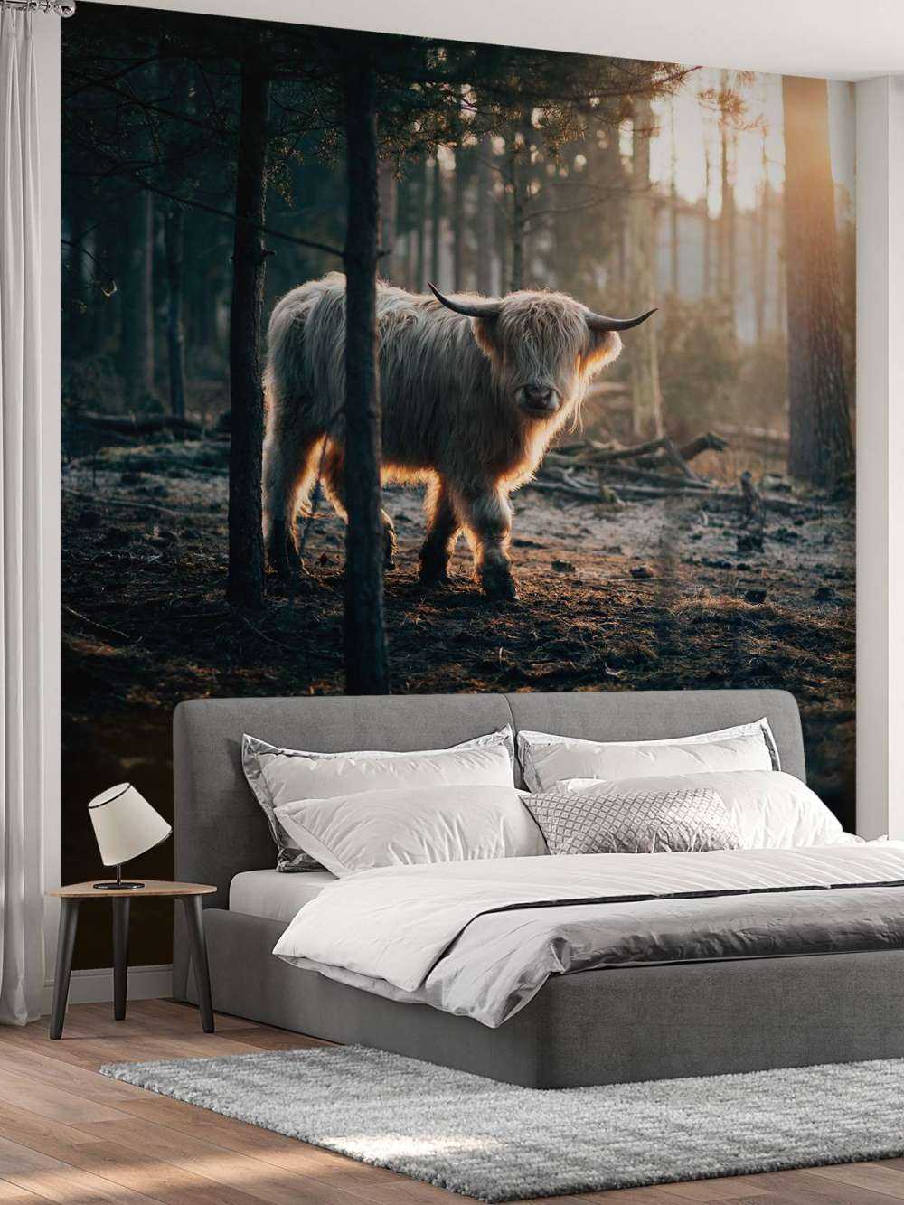 hvite skotske høylandet