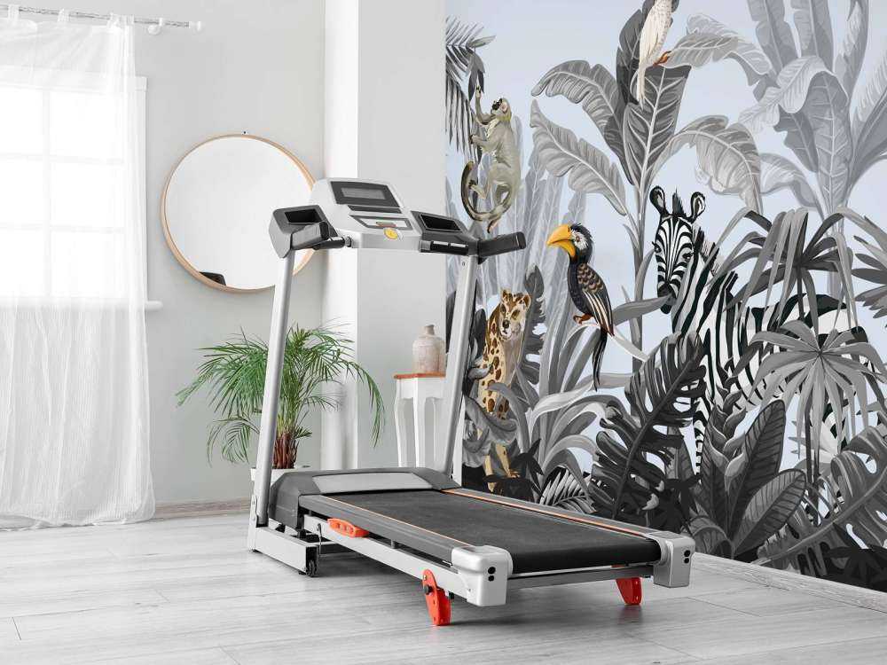 Jungelen full av dyrr