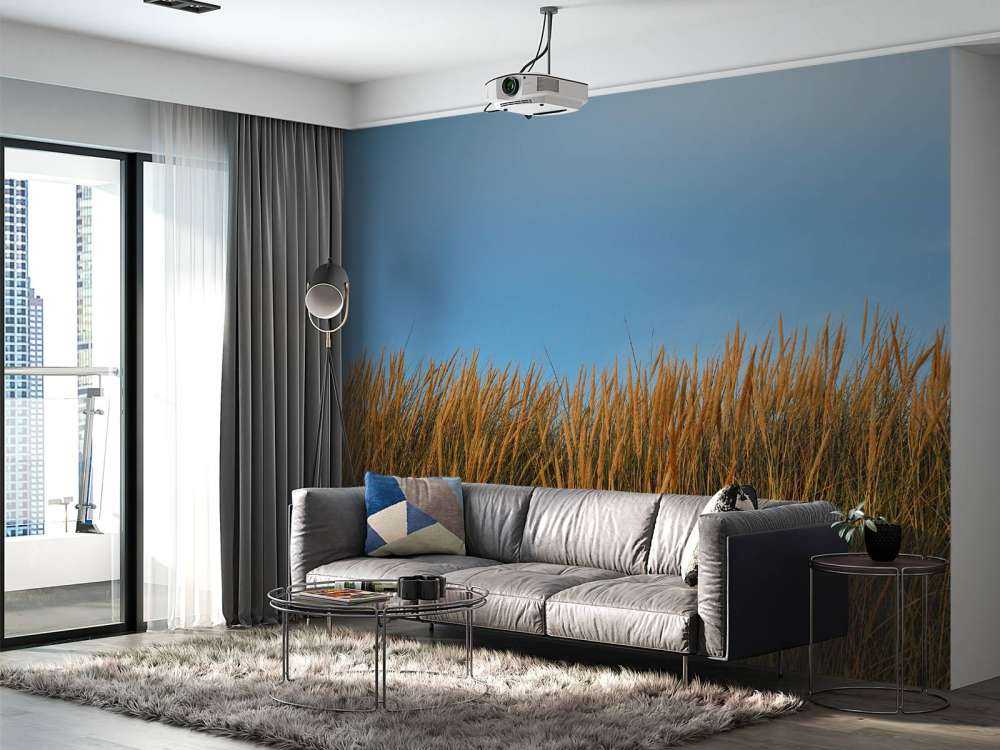 Dunegress