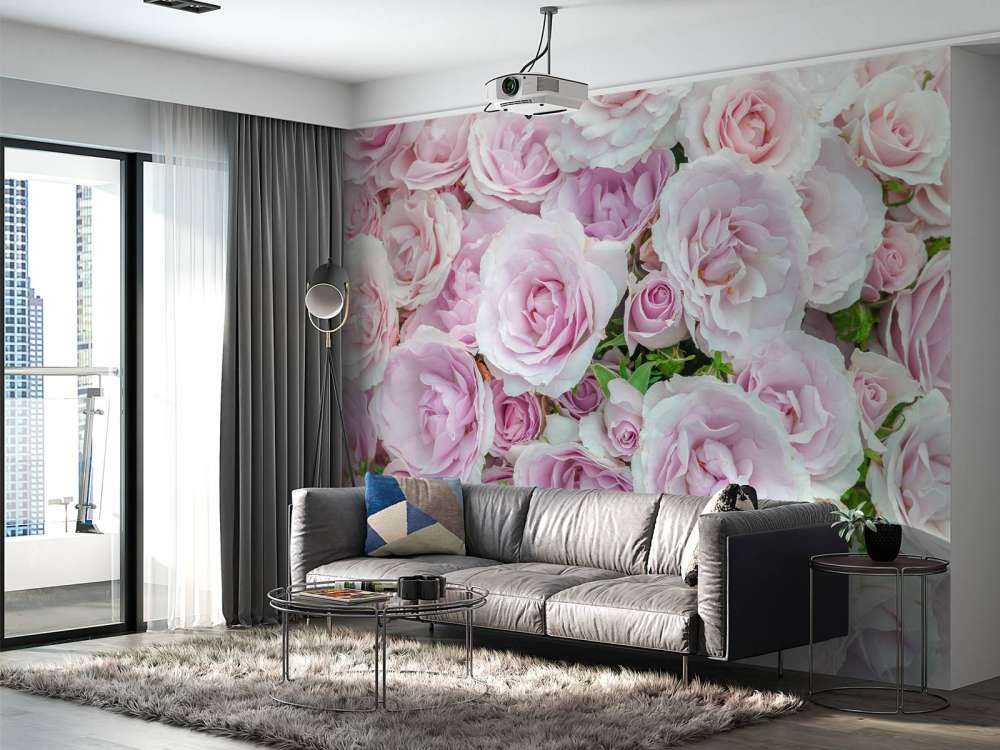 Fargerike hvite og rosa roser