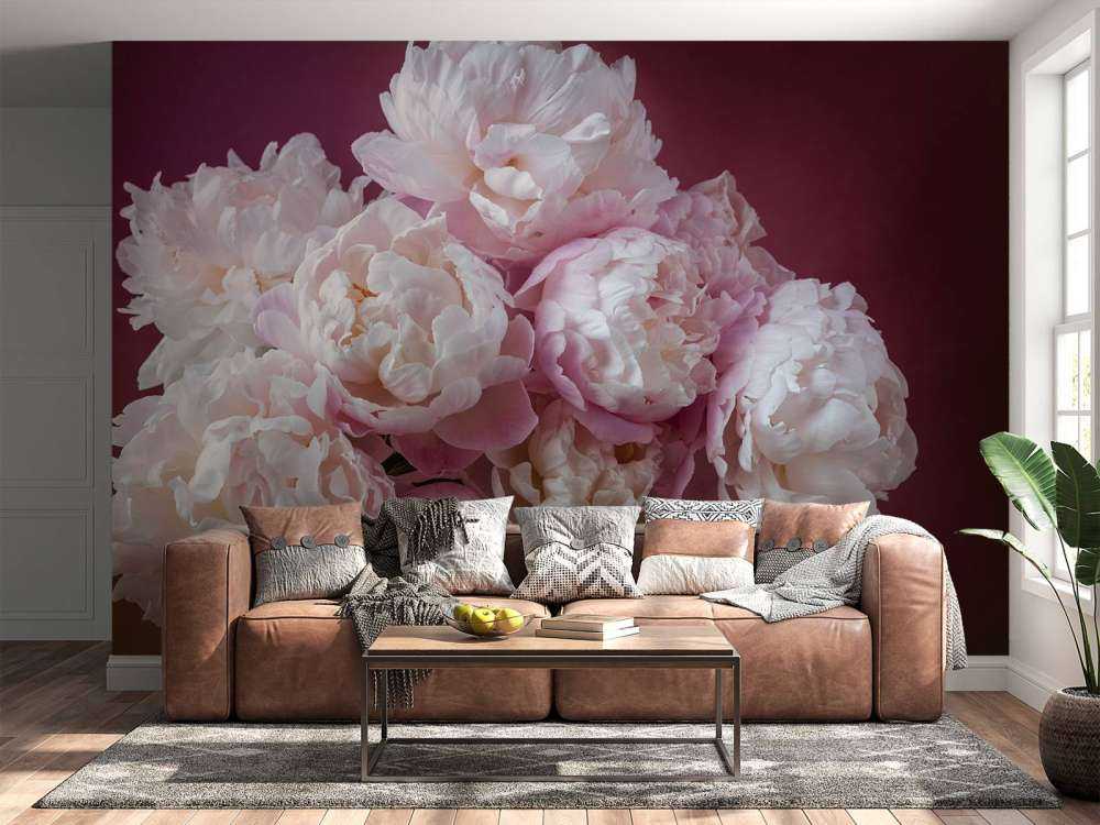 haug med rosa peoner