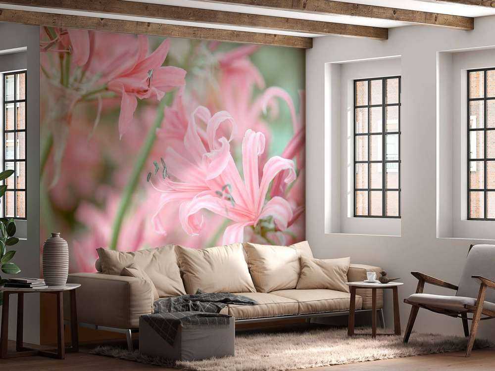 Nerine Blomster