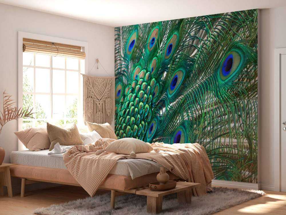 Farget fjærdrakt av en påfugl