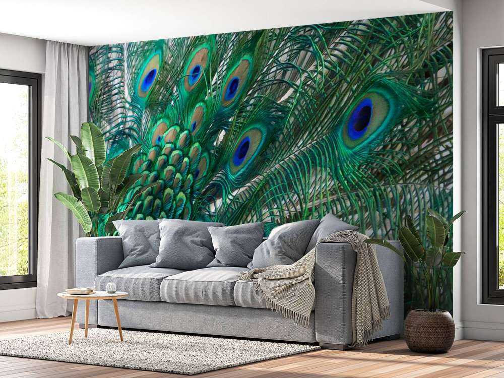 Farget fjærdrakt av en påfugl