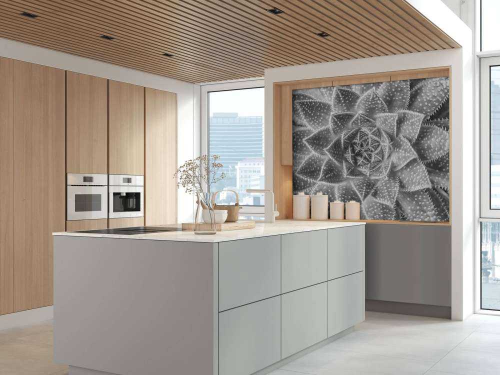 Nærbilde sukkulent plante