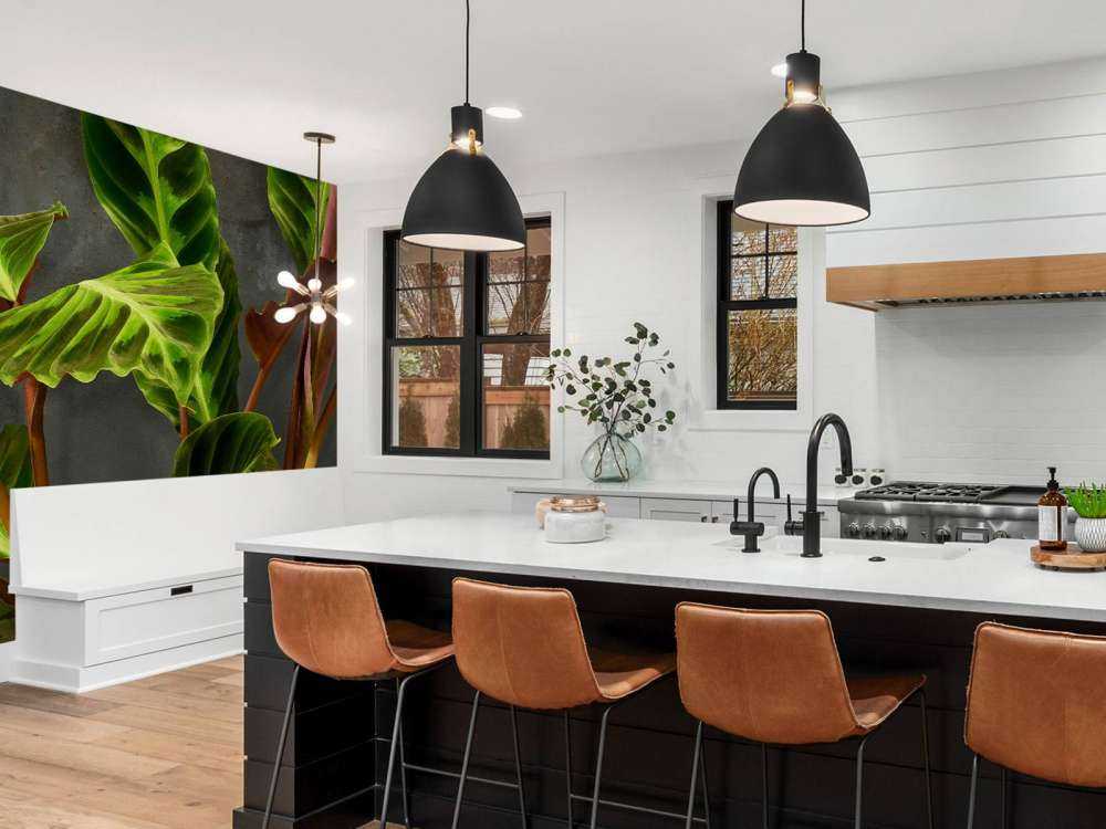 Plante med vakre grønne blader