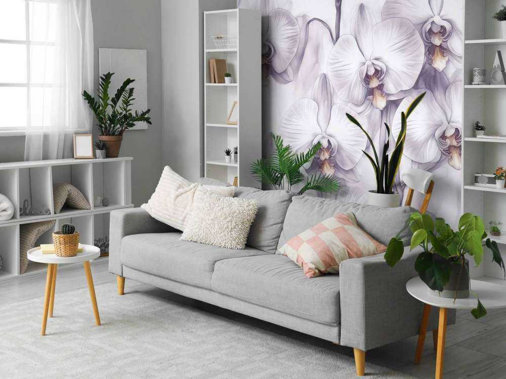 Orkideer Paradis Lilla