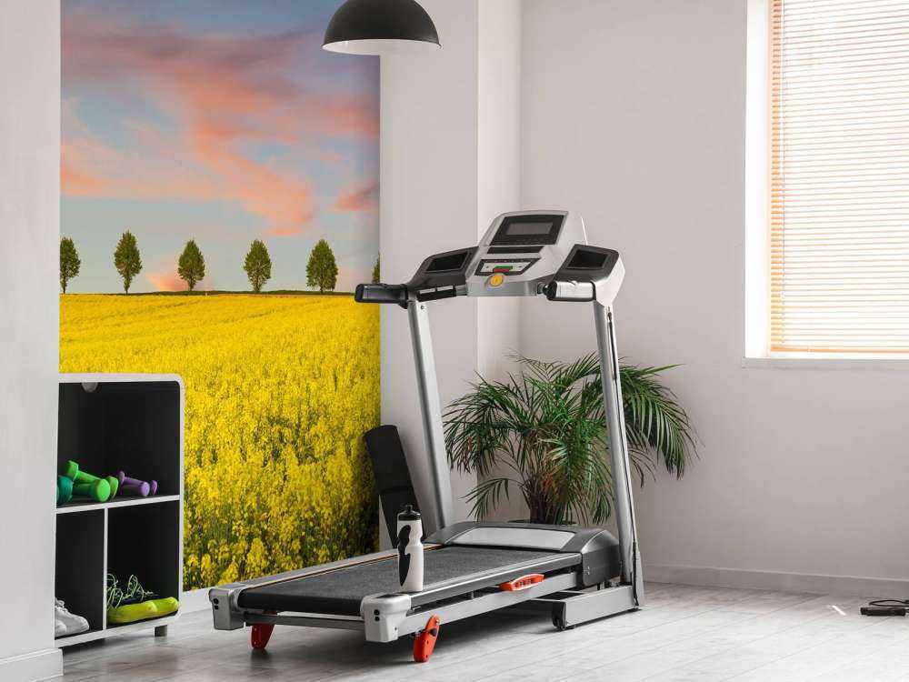 Åker full av gule blomster