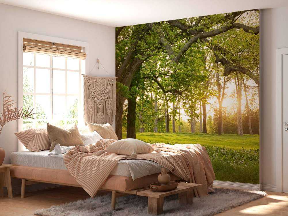 Åpen plass i skogen