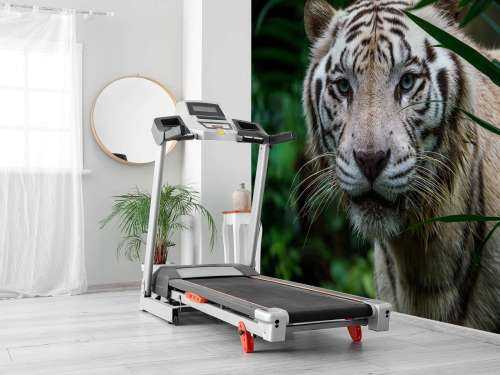 hvit tiger