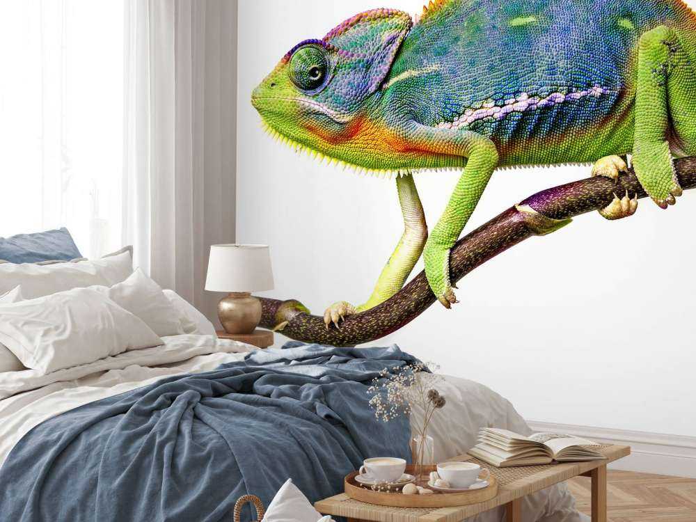 Kameleon